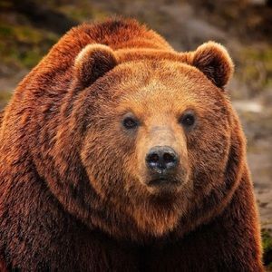 Meet your Posher, Xavier